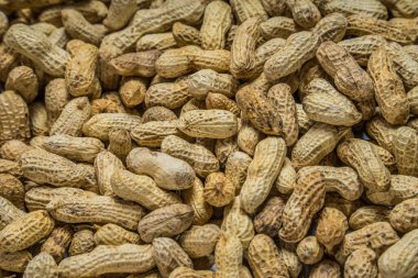 Tam çerçeve fıstık, bir frezede tuzlanmış fasulye, bir frezede bir grup fıstık..