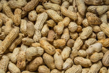 Tam çerçeve fıstık, bir frezede tuzlanmış fasulye, bir frezede bir grup fıstık..