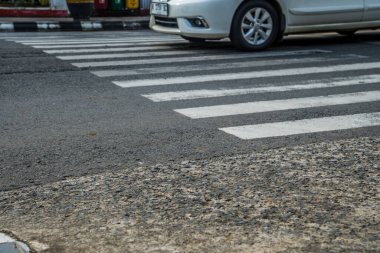 Yaya geçidinin önünden geçen sürücülere rastlanan zebra görüntüsü..