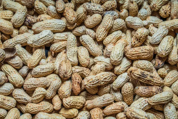 Tam çerçeve fıstık, bir frezede tuzlanmış fasulye, bir frezede bir grup fıstık..