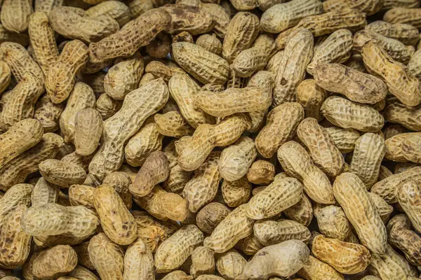 Tam çerçeve fıstık, bir frezede tuzlanmış fasulye, bir frezede bir grup fıstık..