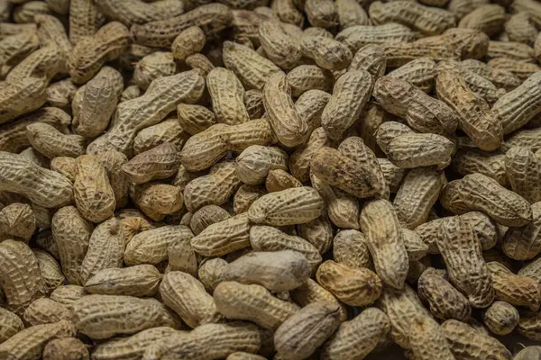 Tam çerçeve fıstık, bir frezede tuzlanmış fasulye, bir frezede bir grup fıstık..