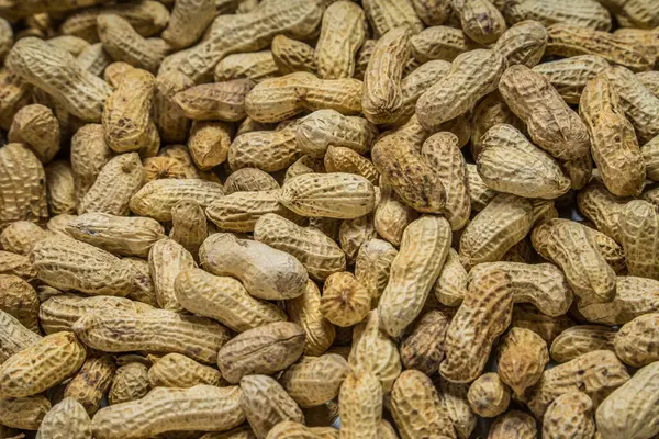 Tam çerçeve fıstık, bir frezede tuzlanmış fasulye, bir frezede bir grup fıstık..