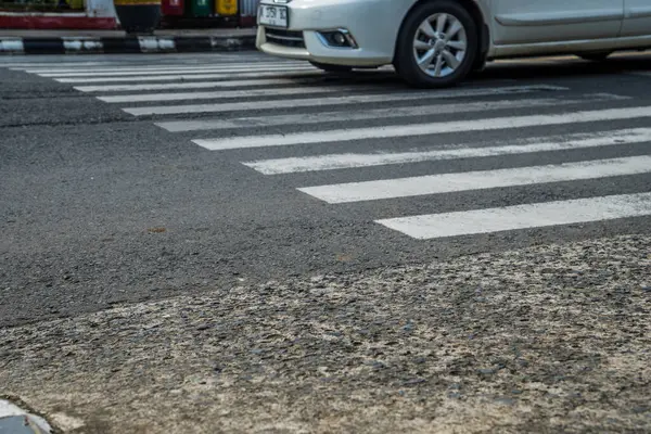 Yaya geçidinin önünden geçen sürücülere rastlanan zebra görüntüsü..