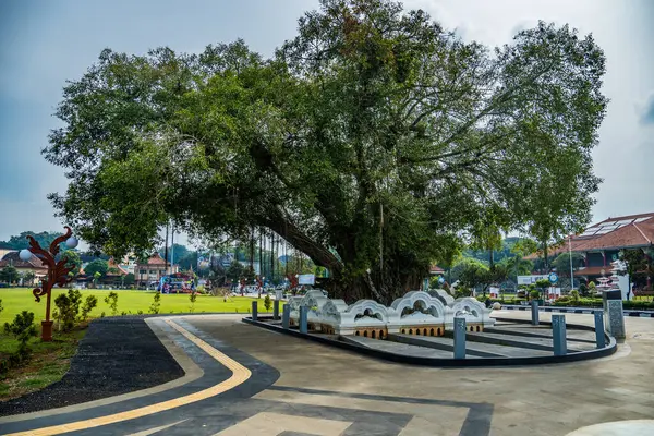 Jepara Central Java şehir meydanındaki banyan ağacının manzarası reklam için boş gökyüzü alanı olan beton bir çitle çevrili..