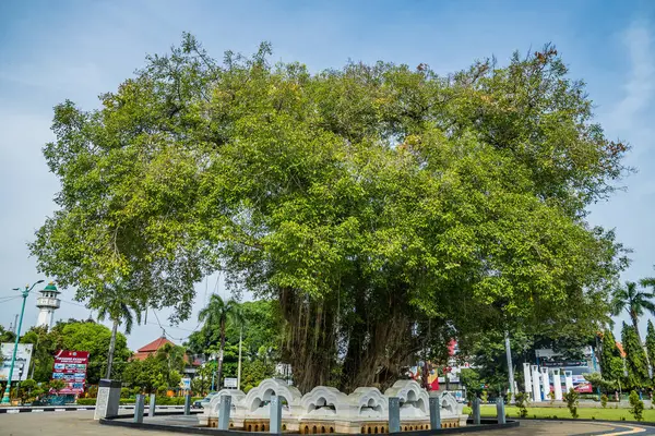 Jepara Central Java şehir meydanındaki banyan ağacının manzarası reklam için boş gökyüzü alanı olan beton bir çitle çevrili..