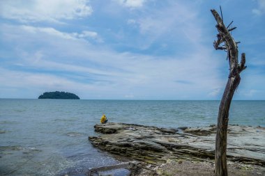 Adanın arka planında sarı renkli balıkçı balığı olan adamlar. Kuru ağaç gövdeleri ve adanın arka planıyla birlikte bir taşın üzerinde oturan sarı giysili adamlar..