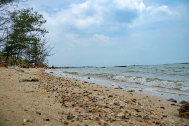 Jepara Central Java, 13 Nisan 2025 sahilde yetişen ağaçlarla süslenmiş kıyı şeridi manzarası. Jepara Endonezya Sahil Hattı.