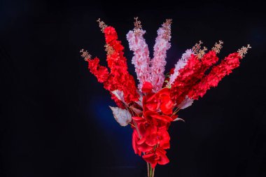 Salvia Splendens (Scarlet Sage) çiçeğinin görüntüsü ya da reklam odası için siyah arkaplan ile kırmızı orkide çiçekleri ile bir demet Marmia denir.