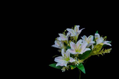 Siyah arka planda güzel sentetik zambak çiçeği, reklam alanı için siyahla izole edilmiş sentetik zambak çiçeği manzarası.