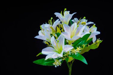 Siyah arka planda güzel sentetik zambak çiçeği, reklam alanı için siyahla izole edilmiş sentetik zambak çiçeği manzarası.