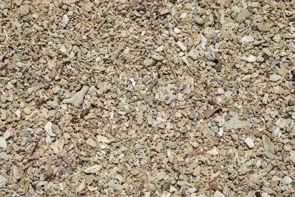 Sahildeki kum dokusu detaylarına kadar çeşitli kabuk parçaları ve küçük çakıl taşlarıyla dolu..