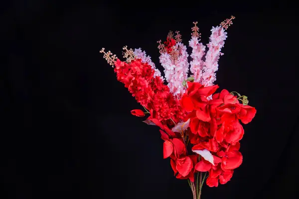 Salvia Splendens (Scarlet Sage) çiçeğinin görüntüsü ya da reklam odası için siyah arkaplan ile kırmızı orkide çiçekleri ile bir demet Marmia denir.