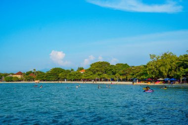 Sahilde ağaçların olduğu sığ bir kumsalda küçük dalgalar kırılıyor ve reklam alanı için açık bir gökyüzü var..