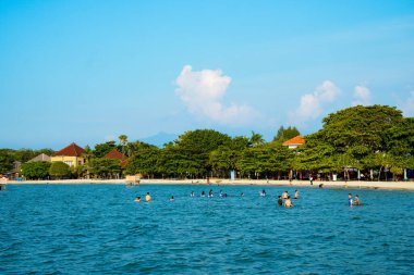 Sahilde ağaçların olduğu sığ bir kumsalda küçük dalgalar kırılıyor ve reklam alanı için açık bir gökyüzü var..