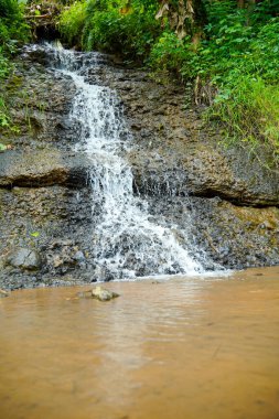 Küçük bir şelale, üzerinde kayalık kayalıklar ve yosunların büyüdüğü bir nehre doğru hızla akar..