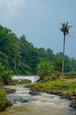 Şelaleden hızla akan su ile dağ manzarasının ortasında, yüksek hindistan cevizi ağaçları ve reklam alanı için berrak gökyüzü ile şelaleden akan tepe manzarası.,