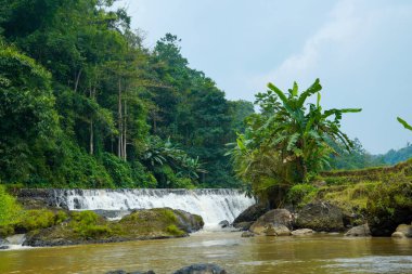 Nehir, yoğun orman ve arka planda küçük şelale ve reklam alanı için gökyüzü olan doğal manzaranın ortasından akıyor. Yağmur ormanlarında güzel tropikal şelale.