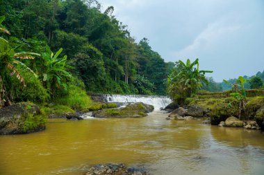 Nehir, yoğun orman ve arka planda küçük şelale ve reklam alanı için gökyüzü olan doğal manzaranın ortasından akıyor. Yağmur ormanlarında güzel tropikal şelale.