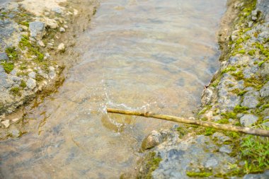 Büyük kayaların arasından akan tahta bir sopa suya çarpar ve su sıçratır. İki yosunlu kayaların arasından akan su manzarası ve ağaç dalları tarafından üretilen su damlaları.