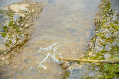 Büyük kayaların arasından akan tahta bir sopa suya çarpar ve su sıçratır. İki yosunlu kayaların arasından akan su manzarası ve ağaç dalları tarafından üretilen su damlaları.
