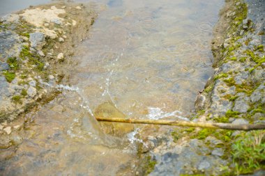 Büyük kayaların arasından akan tahta bir sopa suya çarpar ve su sıçratır. İki yosunlu kayaların arasından akan su manzarası ve ağaç dalları tarafından üretilen su damlaları.
