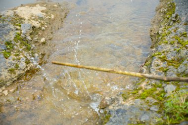 Büyük kayaların arasından akan tahta bir sopa suya çarpar ve su sıçratır. İki yosunlu kayaların arasından akan su manzarası ve ağaç dalları tarafından üretilen su damlaları.