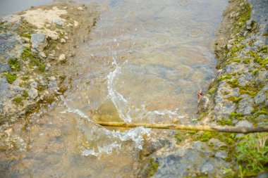 Büyük kayaların arasından akan tahta bir sopa suya çarpar ve su sıçratır. İki yosunlu kayaların arasından akan su manzarası ve ağaç dalları tarafından üretilen su damlaları.