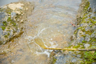 Büyük kayaların arasından akan tahta bir sopa suya çarpar ve su sıçratır. İki yosunlu kayaların arasından akan su manzarası ve ağaç dalları tarafından üretilen su damlaları.