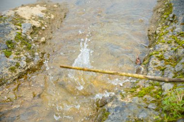 Büyük kayaların arasından akan tahta bir sopa suya çarpar ve su sıçratır. İki yosunlu kayaların arasından akan su manzarası ve ağaç dalları tarafından üretilen su damlaları.