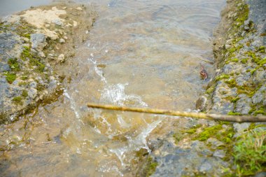 Büyük kayaların arasından akan tahta bir sopa suya çarpar ve su sıçratır. İki yosunlu kayaların arasından akan su manzarası ve ağaç dalları tarafından üretilen su damlaları.