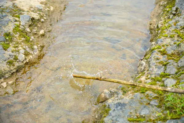 Büyük kayaların arasından akan tahta bir sopa suya çarpar ve su sıçratır. İki yosunlu kayaların arasından akan su manzarası ve ağaç dalları tarafından üretilen su damlaları.