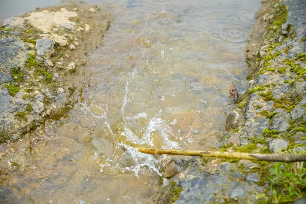 Büyük kayaların arasından akan tahta bir sopa suya çarpar ve su sıçratır. İki yosunlu kayaların arasından akan su manzarası ve ağaç dalları tarafından üretilen su damlaları.