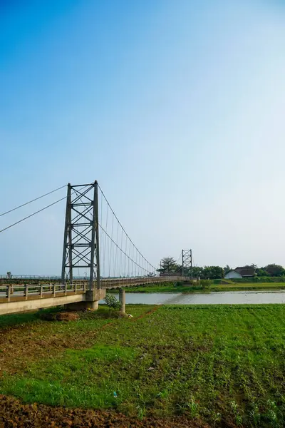 Nehir üzerindeki uzun asma köprü. Etrafı tarlalarla çevrili. Reklam alanı için temiz bir gökyüzü arkaplanı var..