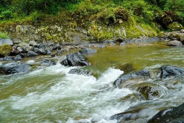 Nehirdeki büyük kayaların arasından akan, kısmen akan bir nehir..