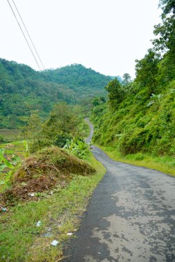 Yeşil yamaçlarla pirinç tarlaları arasında kıvrımlı yolları olan güzel bir manzara..