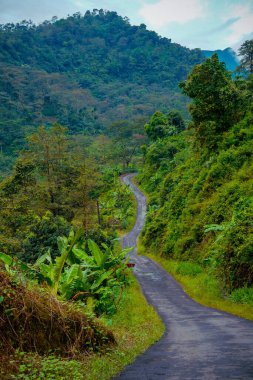 Yeşil yamaçlarla pirinç tarlaları arasında kıvrımlı yolları olan güzel bir manzara..