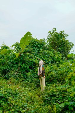Asyalı Müslüman kadın yemyeşil bitkilerin ortasında dikiliyor ve çevresini gözlemliyor..