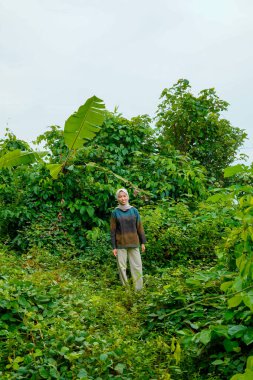 Asyalı Müslüman kadın yemyeşil bitkilerin ortasında dikiliyor ve çevresini gözlemliyor..