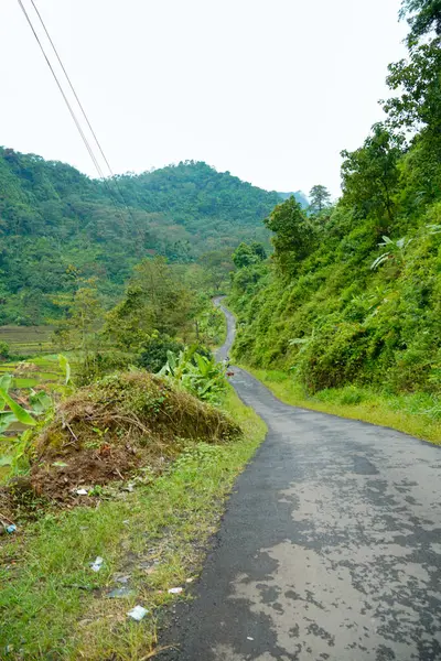 Yeşil yamaçlarla pirinç tarlaları arasında kıvrımlı yolları olan güzel bir manzara..