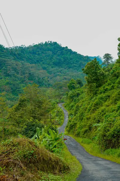 Yeşil yamaçlarla pirinç tarlaları arasında kıvrımlı yolları olan güzel bir manzara..
