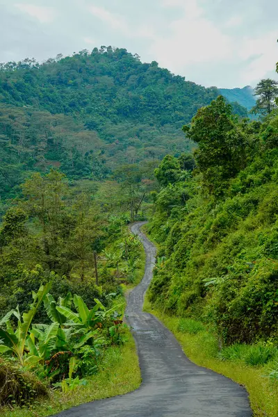 Yeşil yamaçlarla pirinç tarlaları arasında kıvrımlı yolları olan güzel bir manzara..