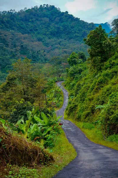 Yeşil yamaçlarla pirinç tarlaları arasında kıvrımlı yolları olan güzel bir manzara..