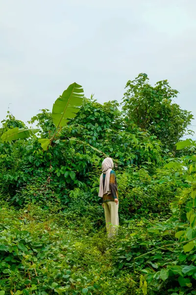 Asyalı Müslüman kadın yemyeşil bitkilerin ortasında dikiliyor ve çevresini gözlemliyor..