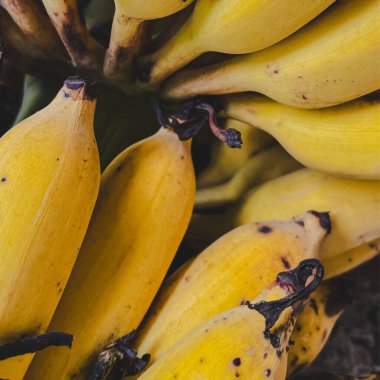 Tahta bir masanın üzerine yerleştirilmiş olgun muzlar.