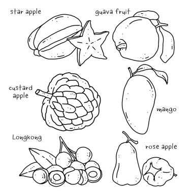 şablonlar için meyve çizgisi tasarımı.