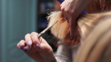 Kısa saçlı ve kısa saçlı güzel bir kız güzellik salonunda bir prosedür uyguluyor. Saç ustası müşterilere saç boyama ve tonu sunuyor. Yüksek kaliteli FullHD görüntüler