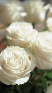 Evin penceresinin yanında güzel bir buket beyaz gül duruyor. Tatildeki bir kız için romantik bir hediye. Çiçek.