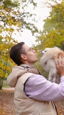 Parktaki genç sahibiyle yürüyüşe çıkmış sevimli tüylü köpek yavrusu. Köpek soyu Pomeranian Spitz. Ormanda sarı sonbahar yaprakları