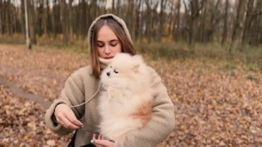 Parkta genç kız sahibiyle yürüyüşe çıkmış sevimli tüylü bir köpek yavrusu. Köpek soyu Pomeranian Spitz. Ormanda sarı sonbahar yaprakları. Yüksek kaliteli FullHD görüntüler